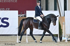 80/71 Drahokoupil (Diamant de Semilly x Carthago Z)